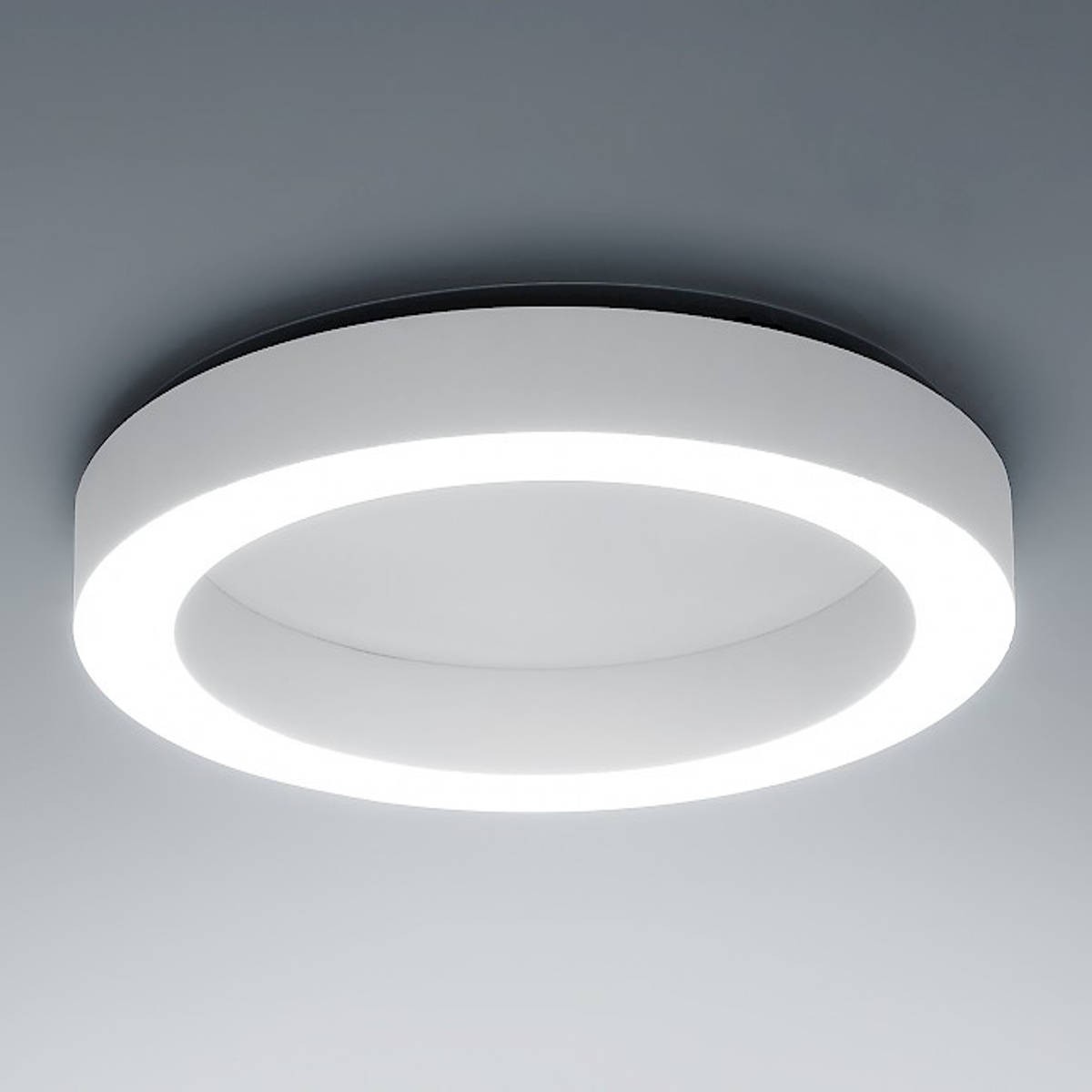 Plafoniera minimale con struttura in alluminio,dalla forma circolare a  forma di anello con colore bianco con luce a led ( 50W ) integrata Dimmerata